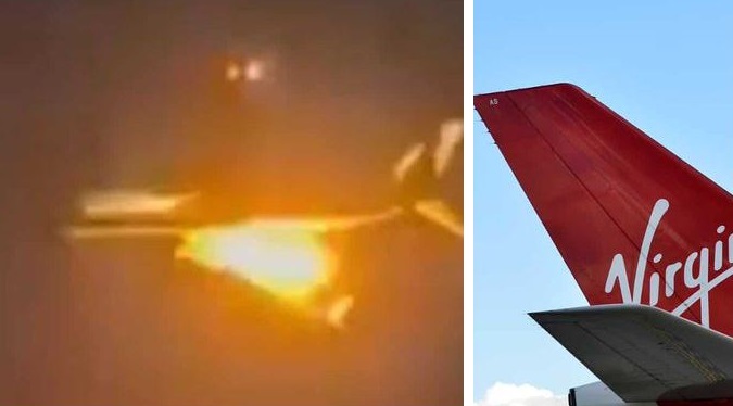 bird strike virgin australia