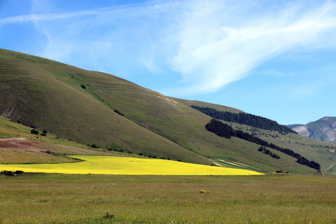 Fioritura di Castelluccio di Norcia