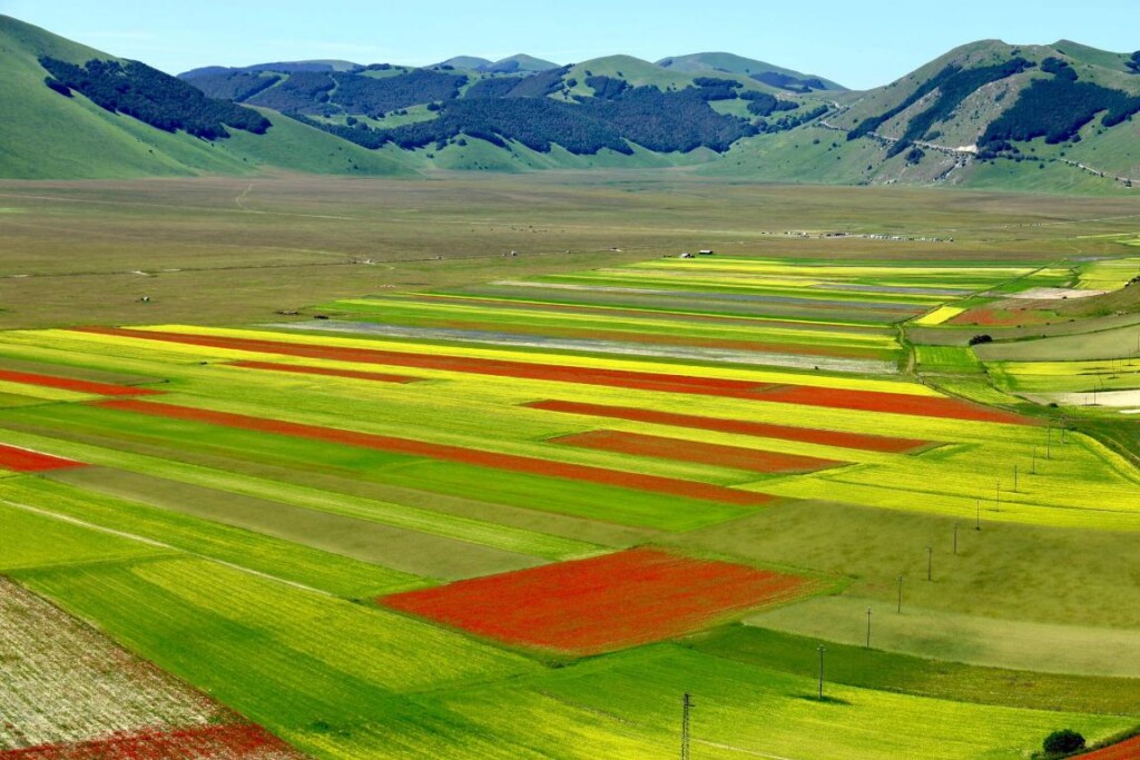 Fioritura di Castelluccio di Norcia