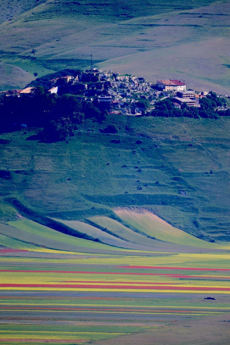 Fioritura di Castelluccio di Norcia