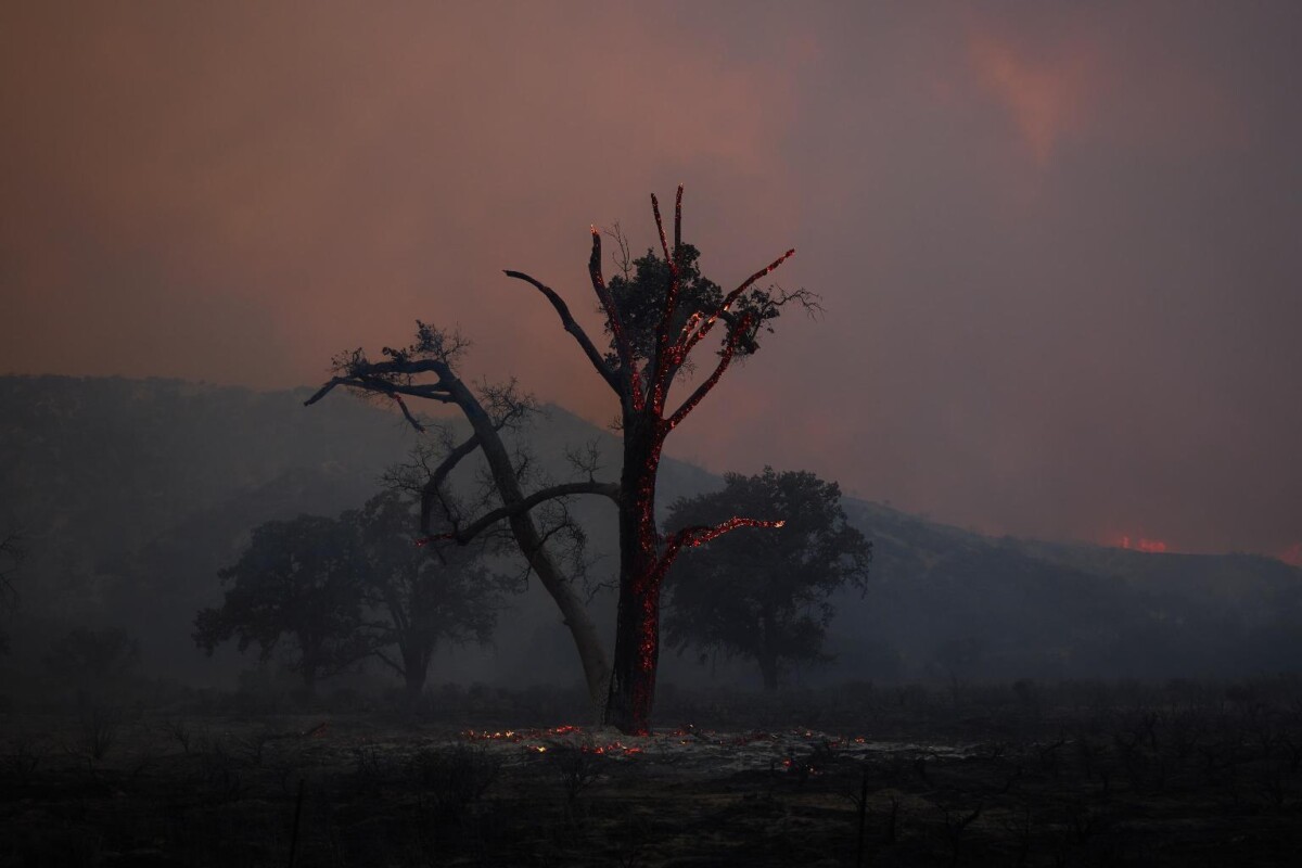 incendio california