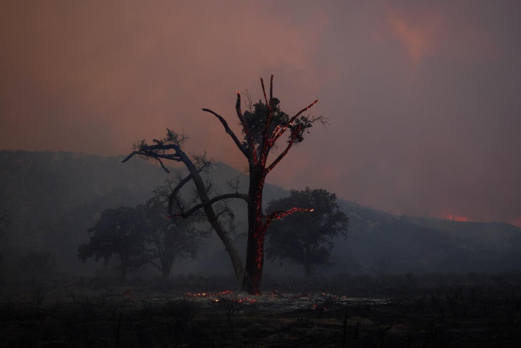 incendio california