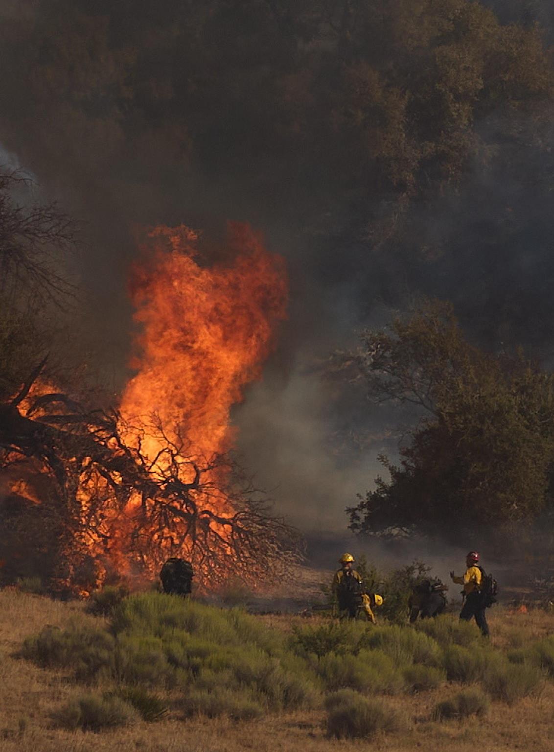 incendio california