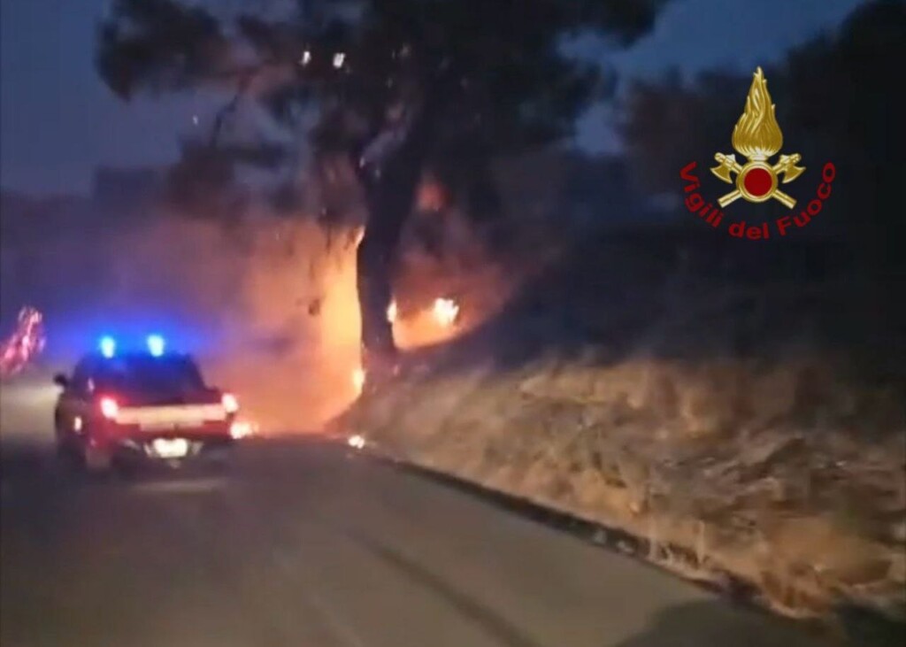 incendio pollino