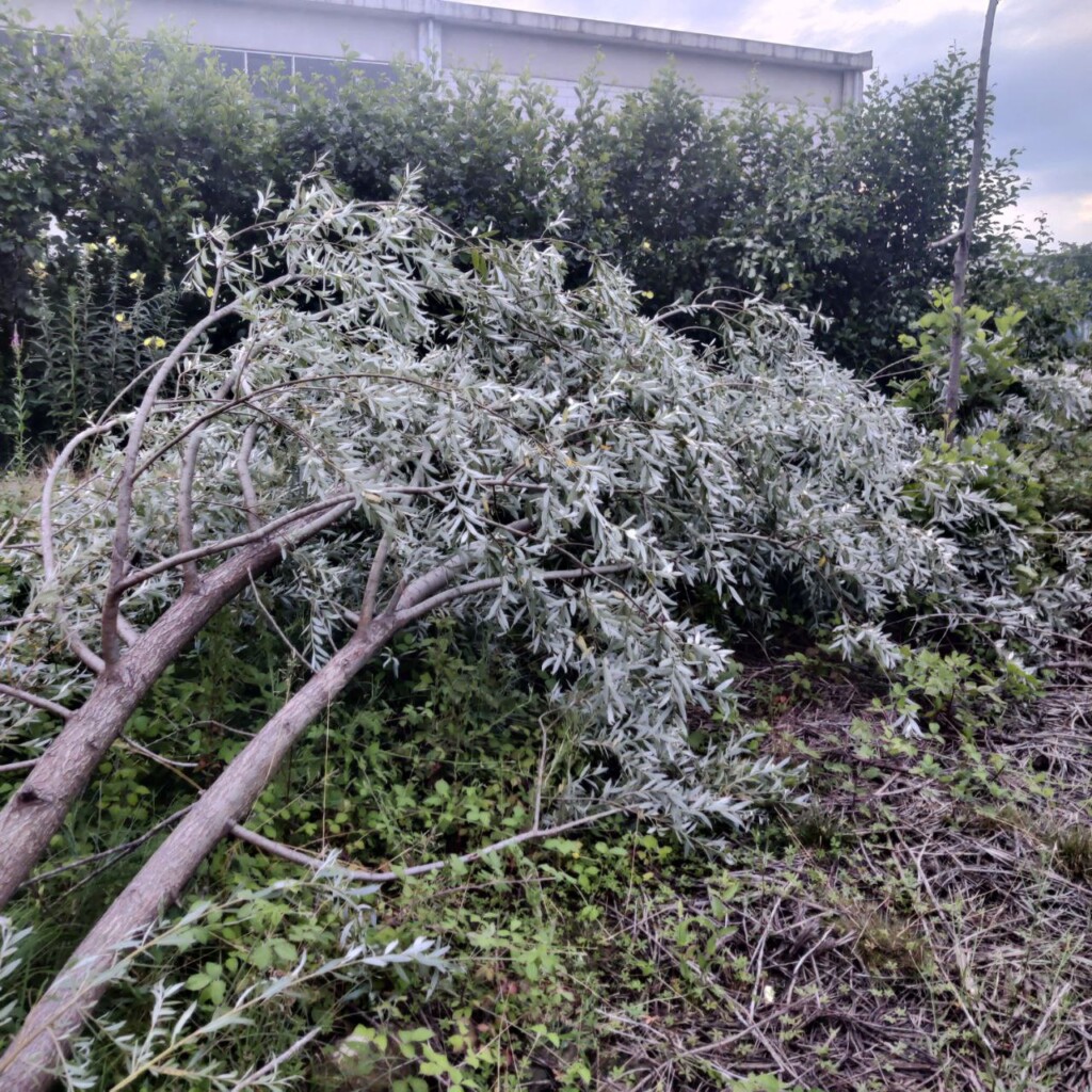 maltempo piemonte danni tra Salassa e San Ponso