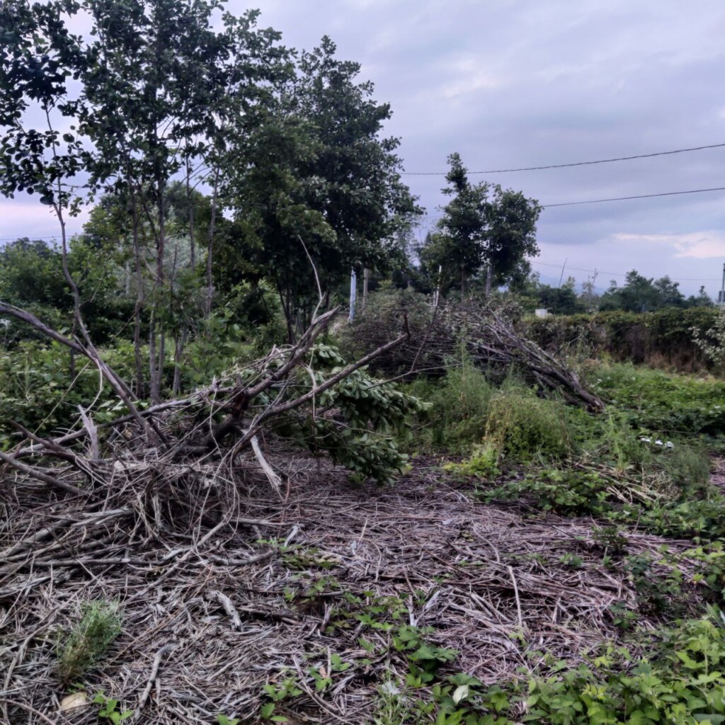 maltempo piemonte danni tra Salassa e San Ponso