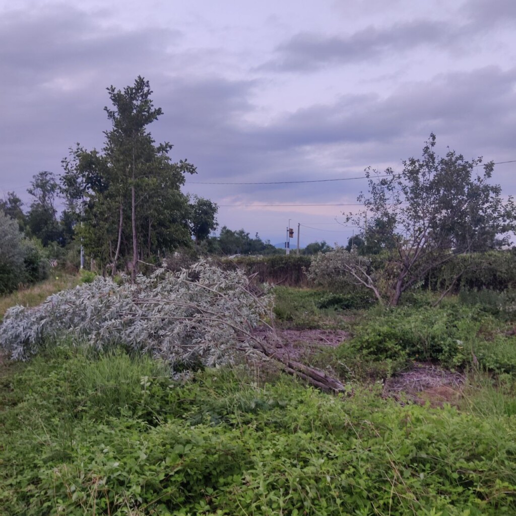 maltempo piemonte danni tra Salassa e San Ponso