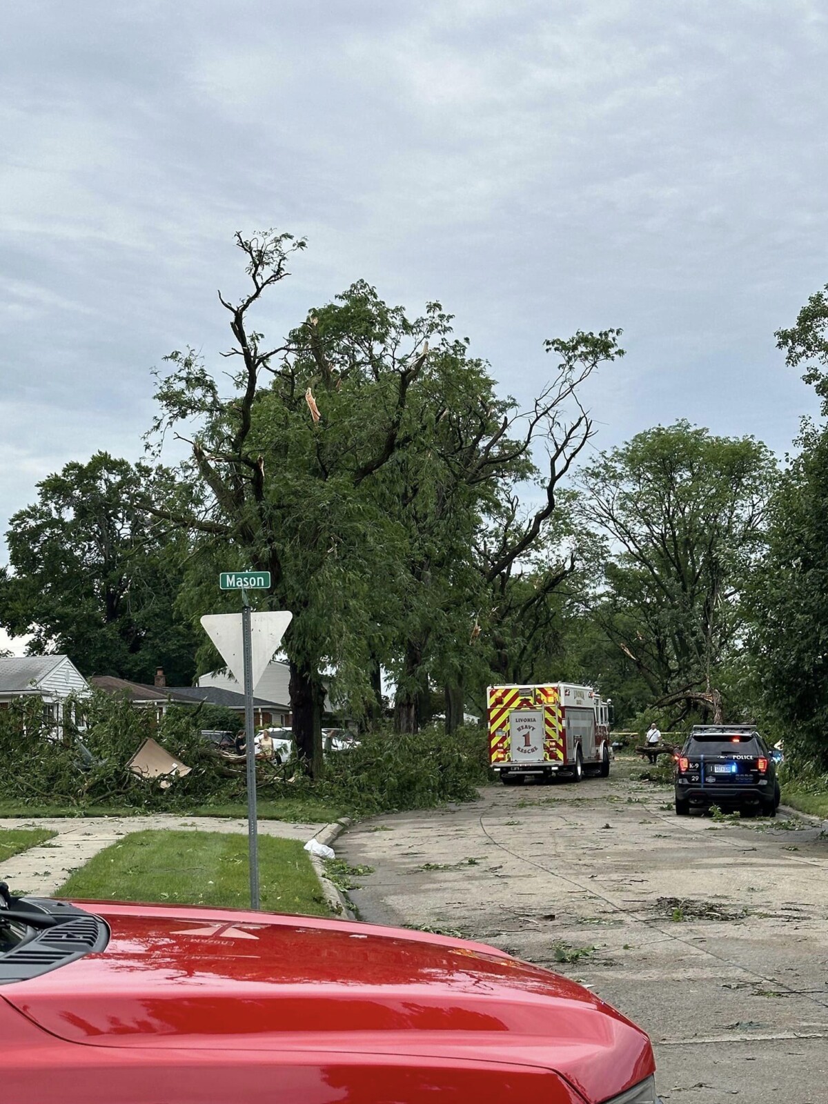 tornado livonia USA