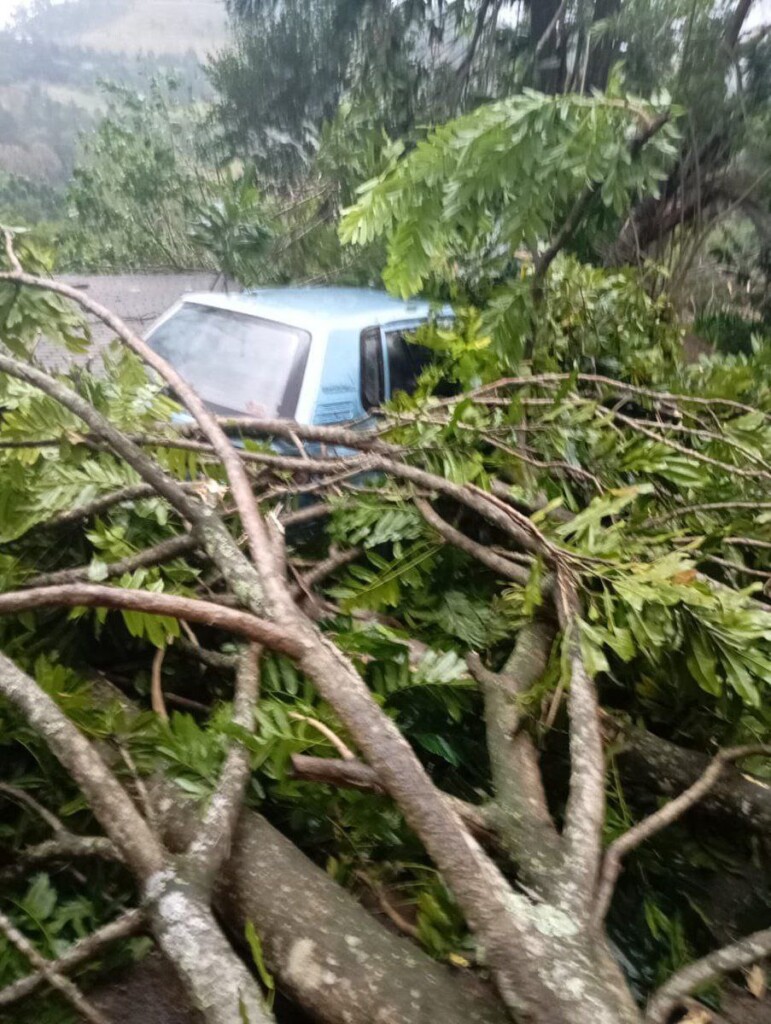 tornado tongaat sudafrica