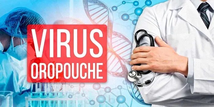 Oropouche Virus