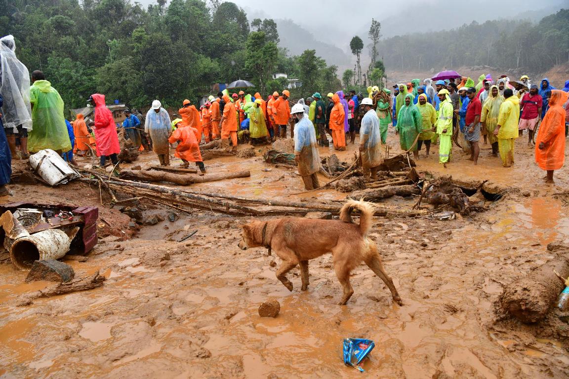 frana india kerala