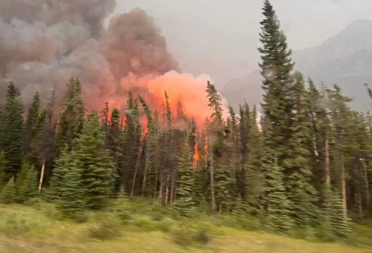 incendi alberta canada jasper national park