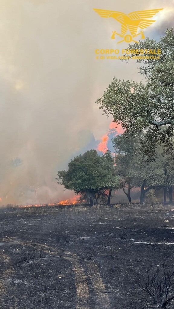 incendi sardegna nuorese