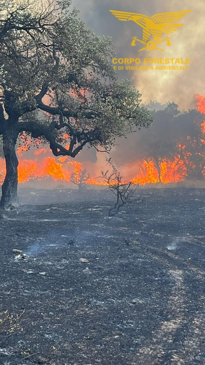 incendi sardegna nuorese