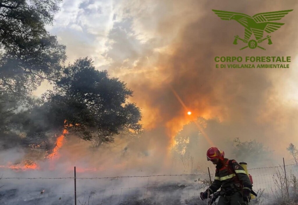 incendi sardegna nuorese