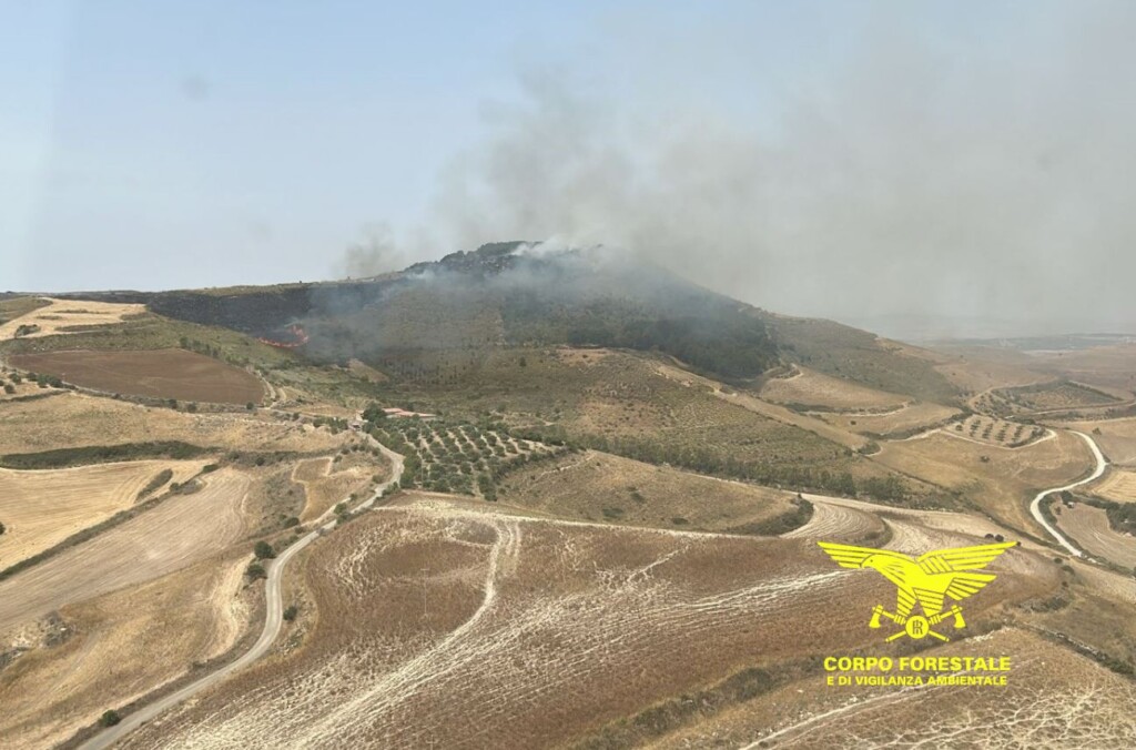 incendi sardegna