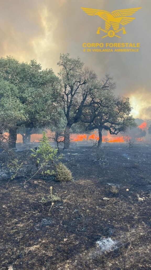 incendi sardegna nuorese