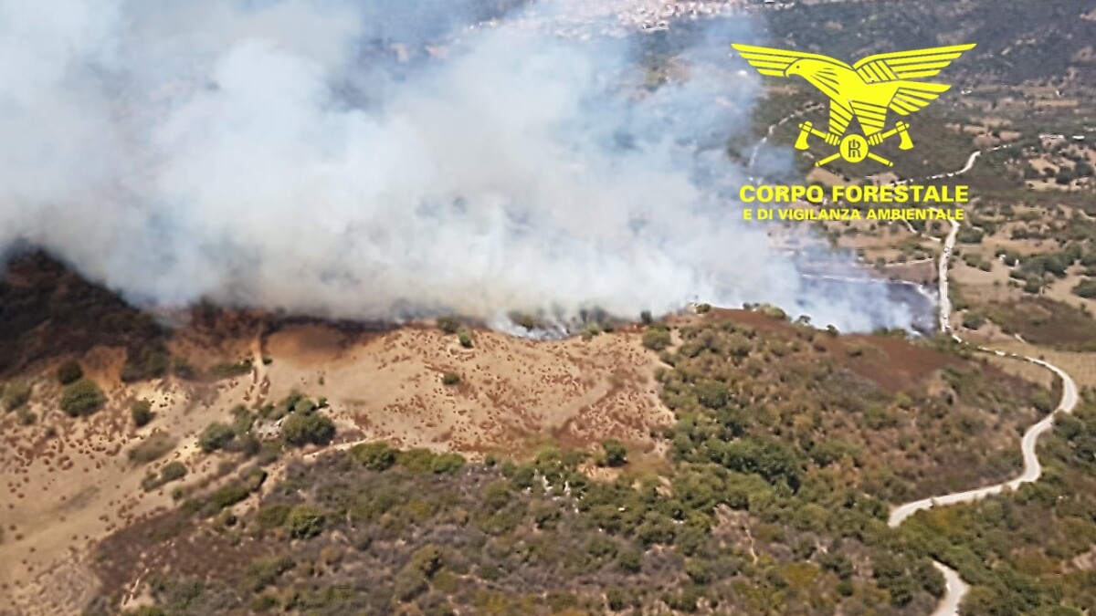 incendi sardegna