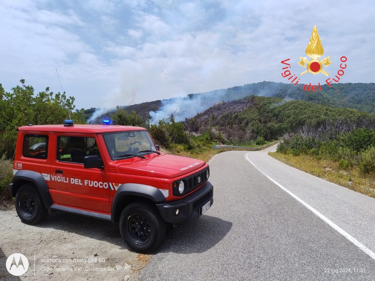 incendio badolato calabria