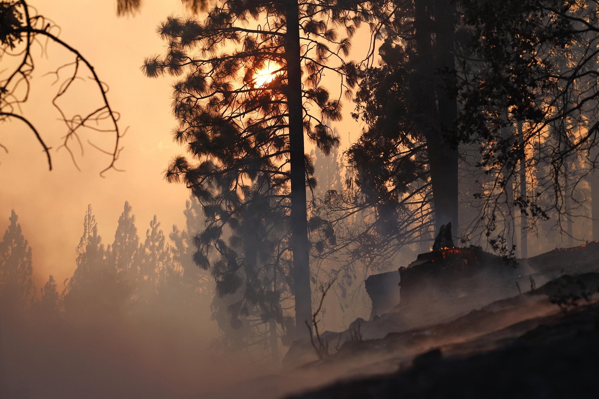 incendio california park fire