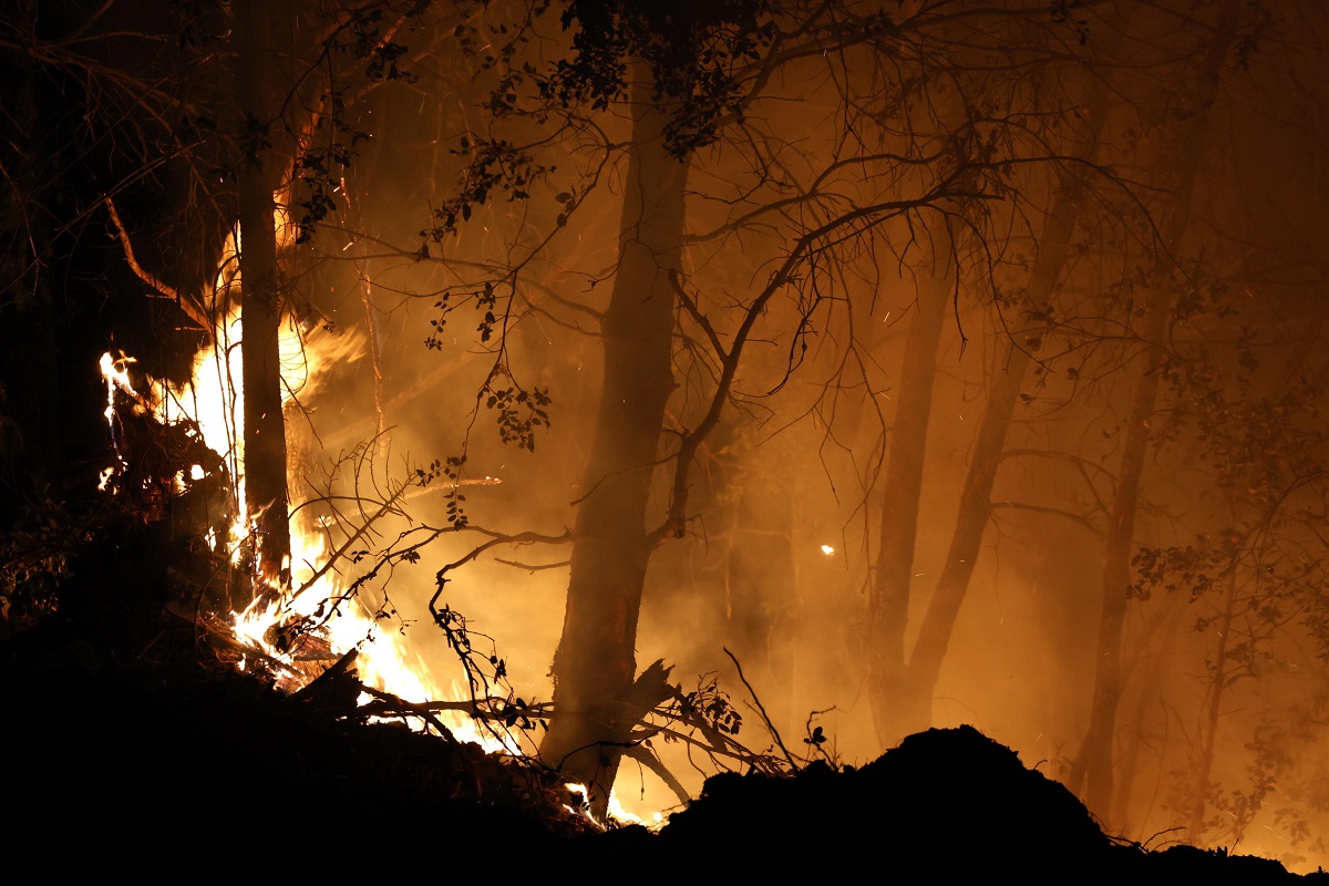 incendio california park fire