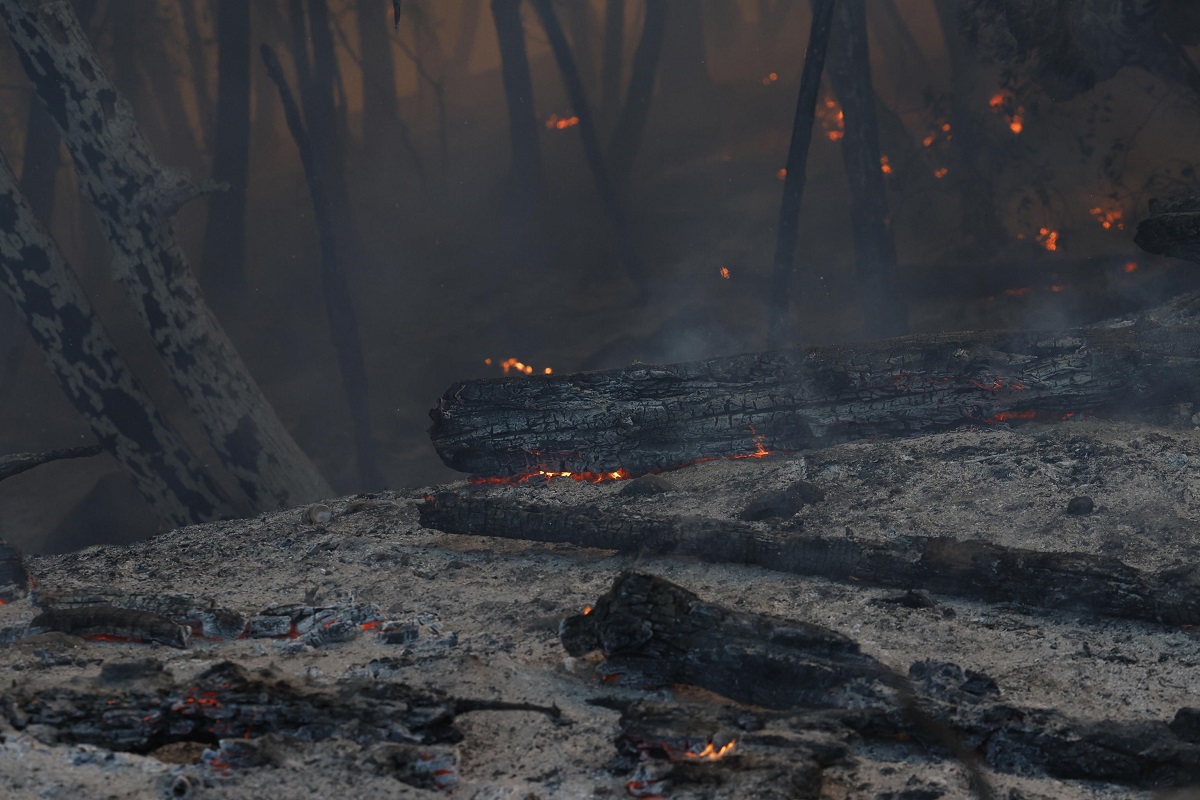 incendio california park fire