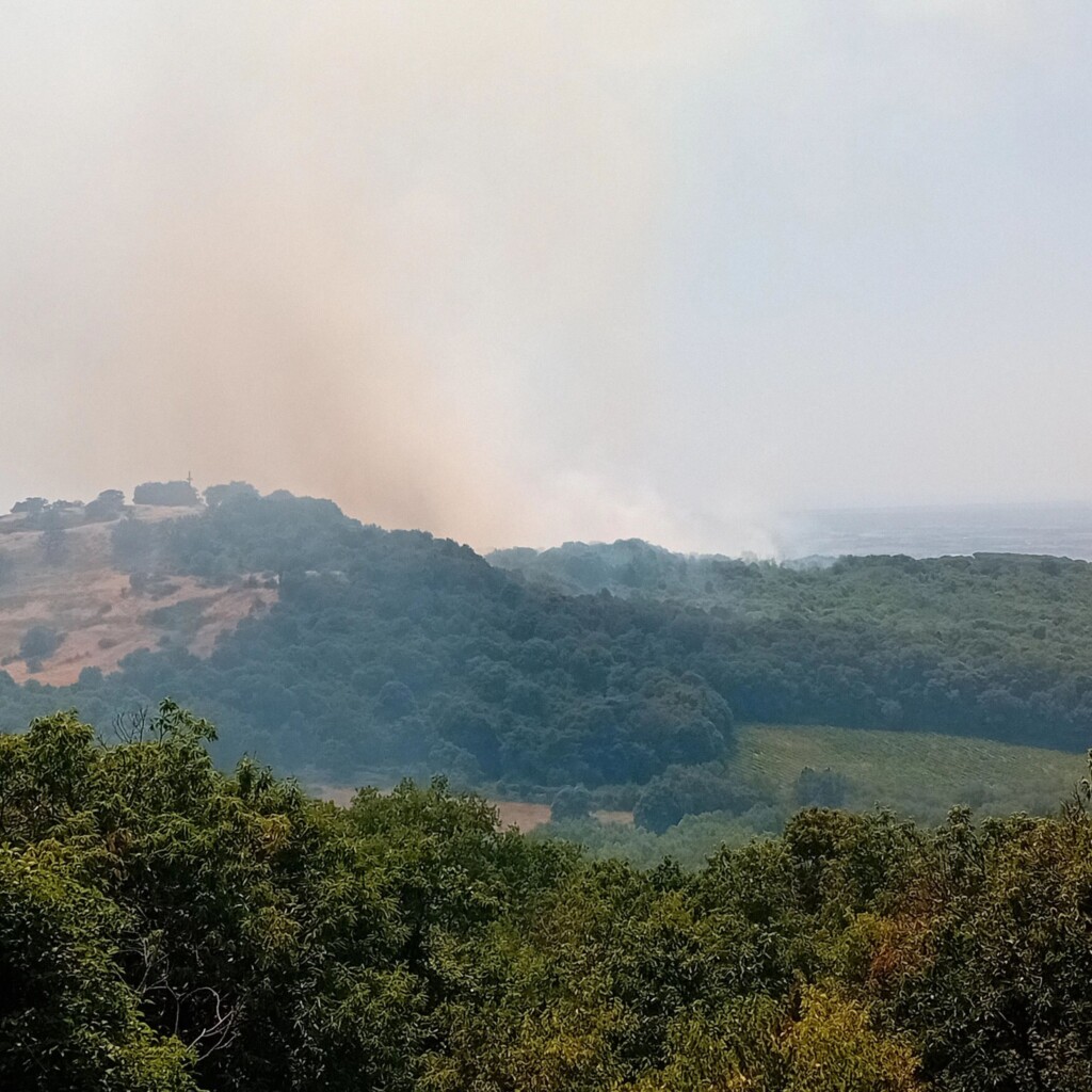 incendio grottaferrata