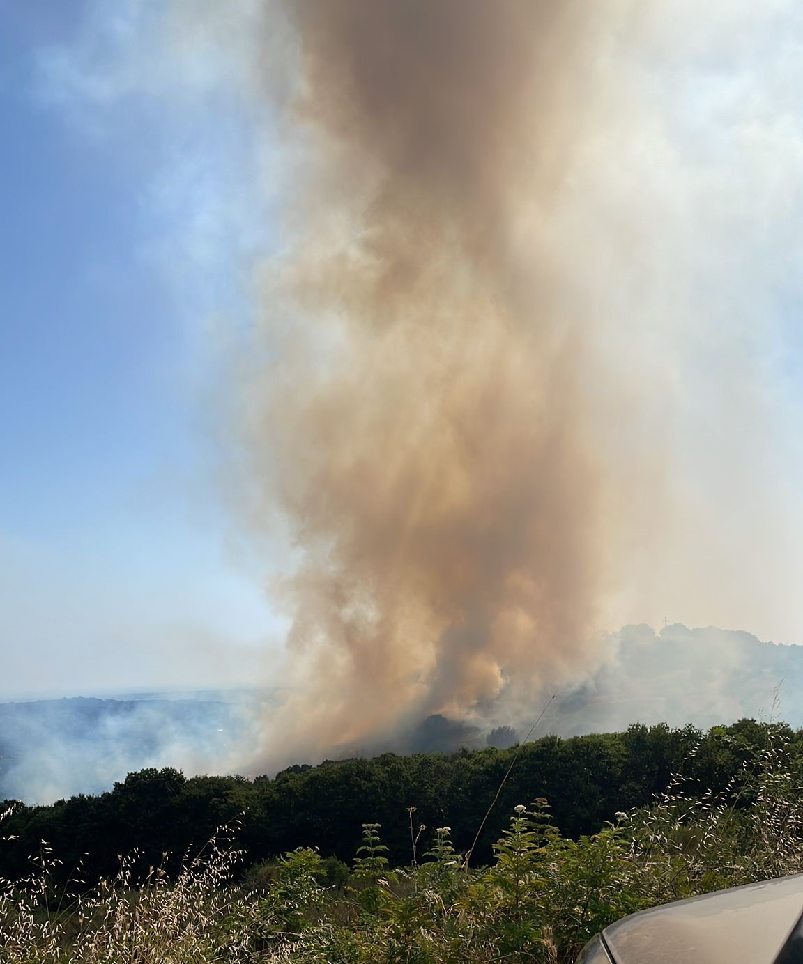 incendio grottaferrata