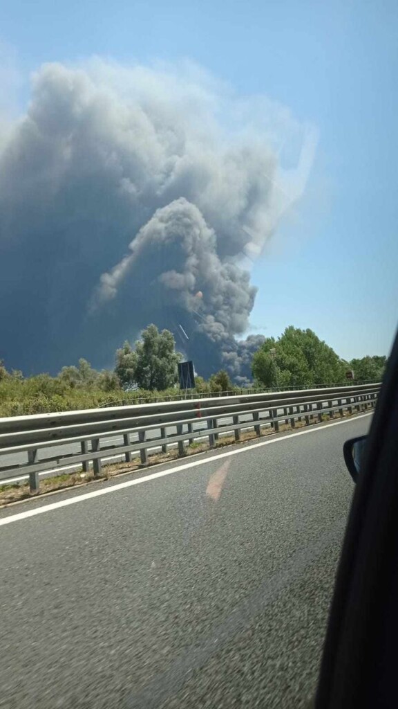 incendio palmi oggi