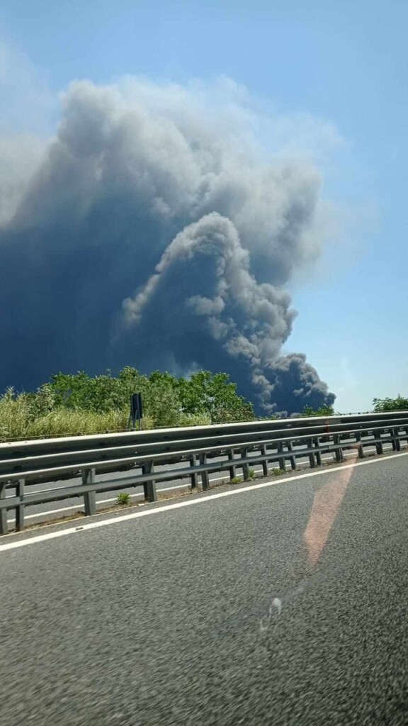 incendio palmi oggi