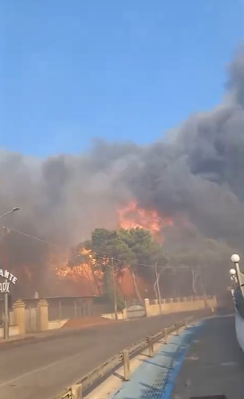 incendio pulsano