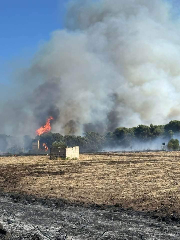 incendio pulsano