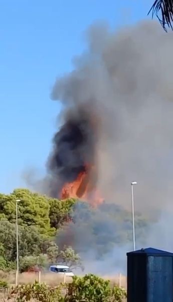 incendio pulsano