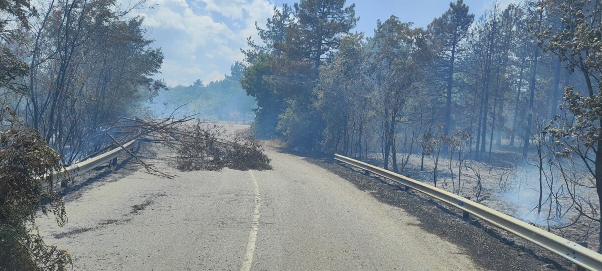 incendio sila