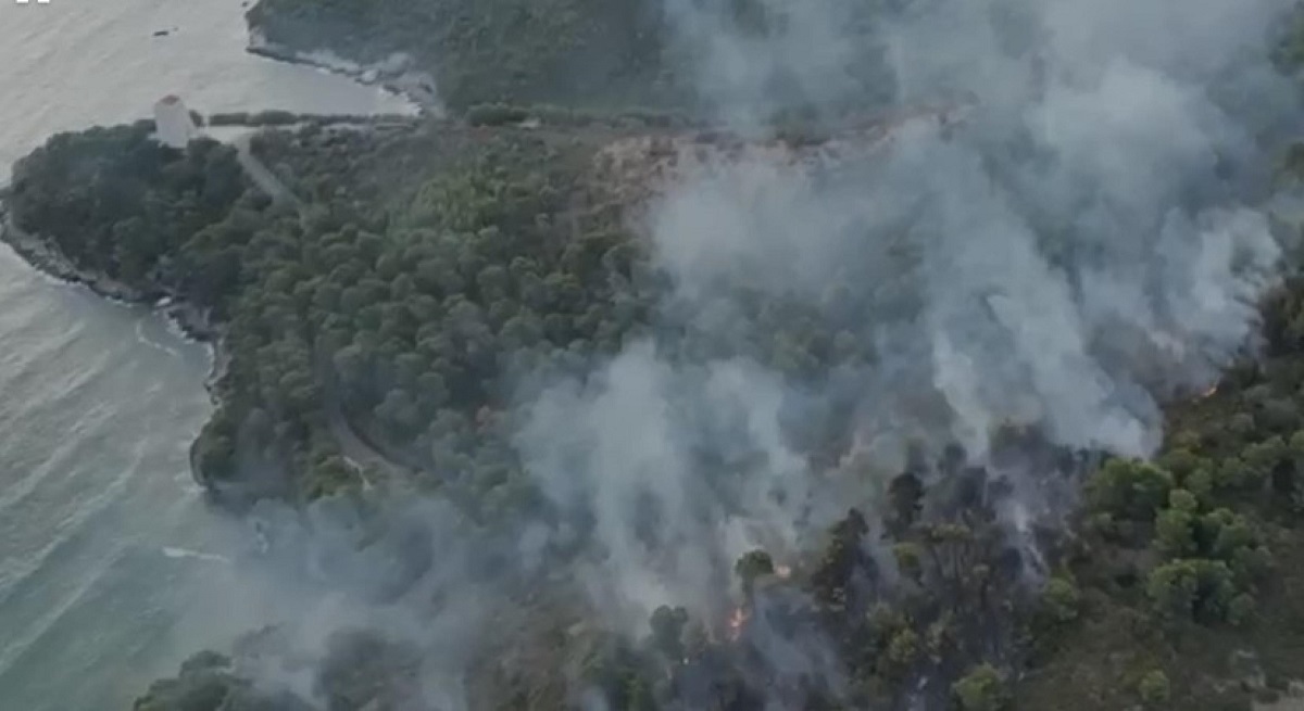 Incendio Vieste