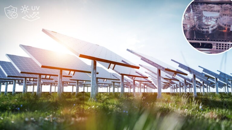 pannelli solari, ENEA lavora a materiali innovativi contro umidità e raggi UV