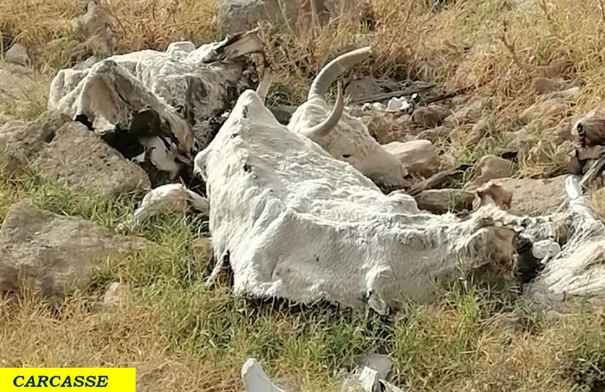 tombe a grotticella del neolitico mazara del vallo