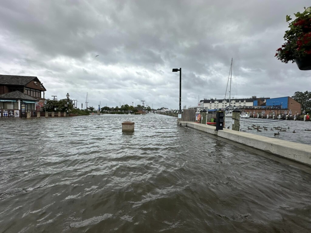 Annapolis tempesta debby