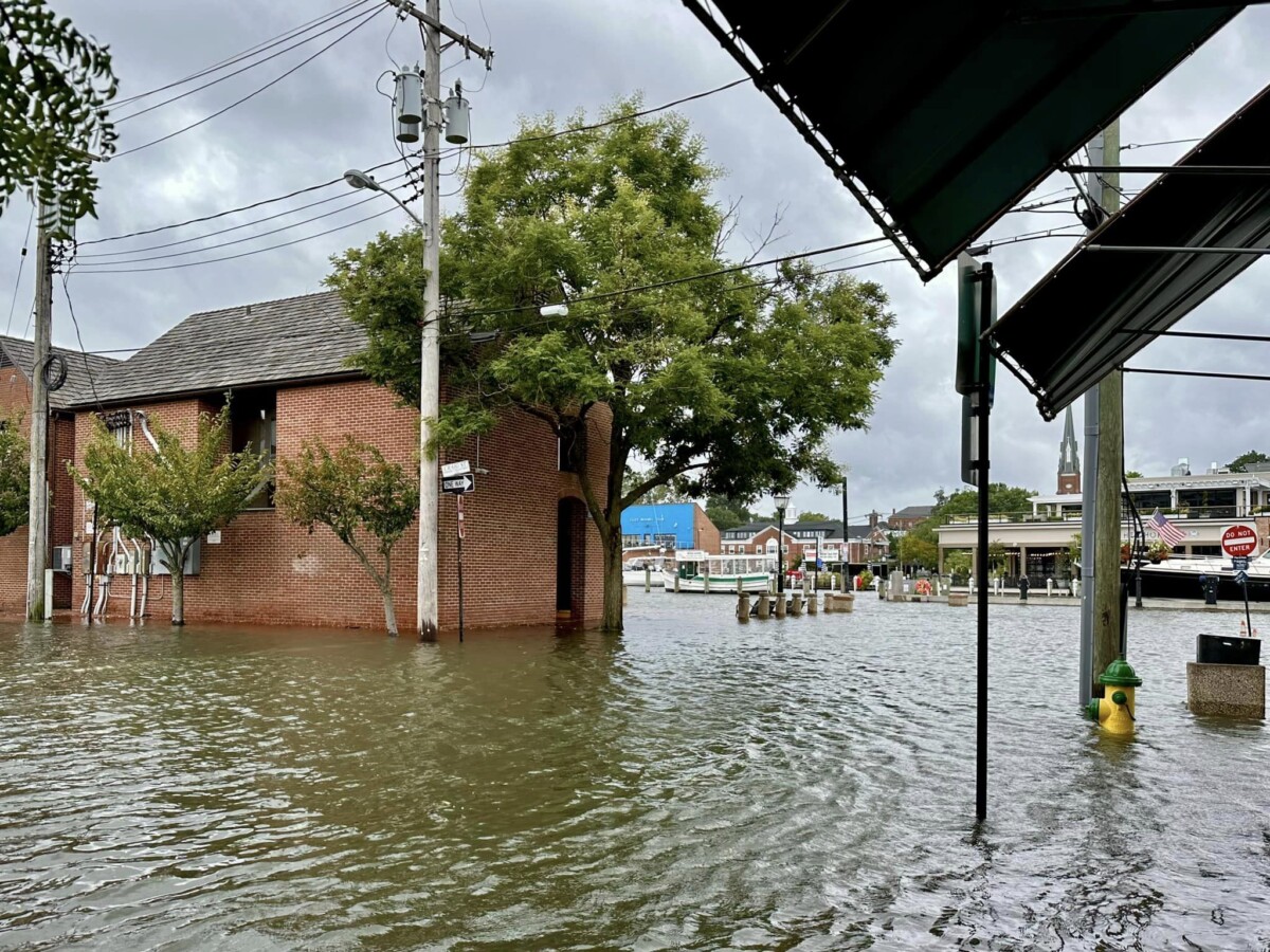 Annapolis tempesta debby