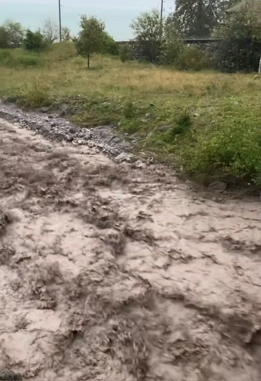 alluvione Brienz Svizzera