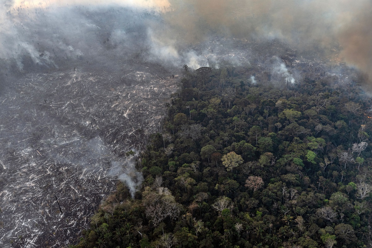 deforestazione amazzonia brasile