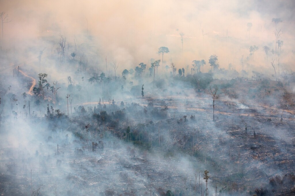 deforestazione amazzonia brasile