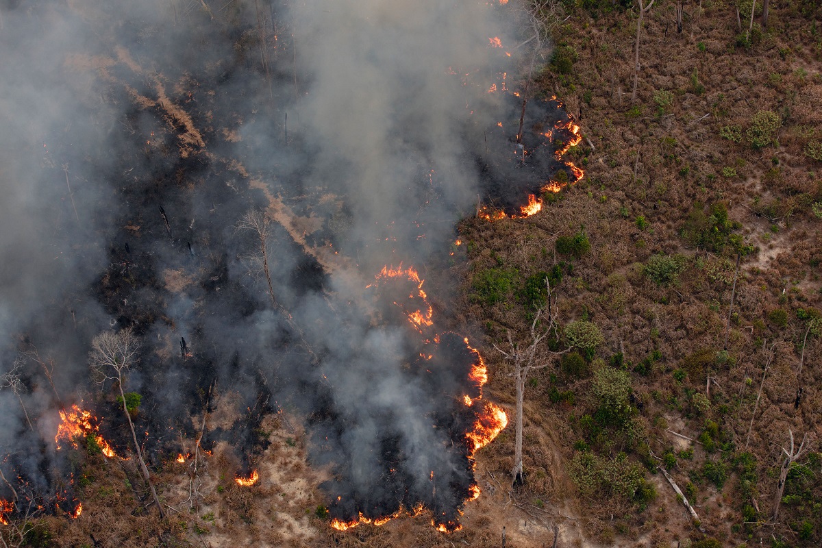 deforestazione amazzonia brasile