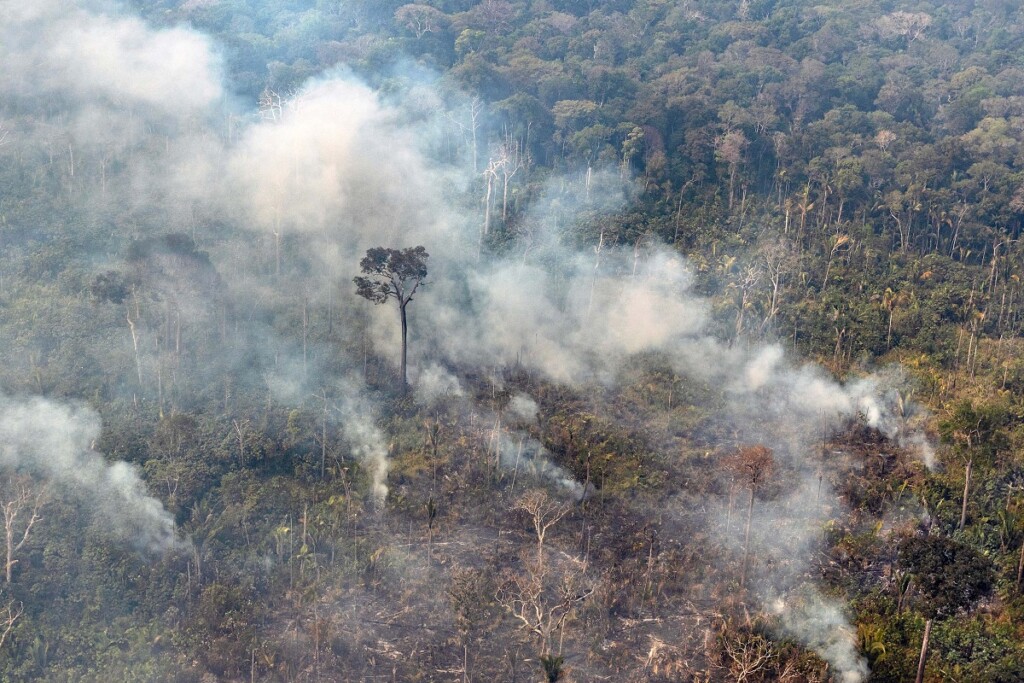 deforestazione amazzonia brasile