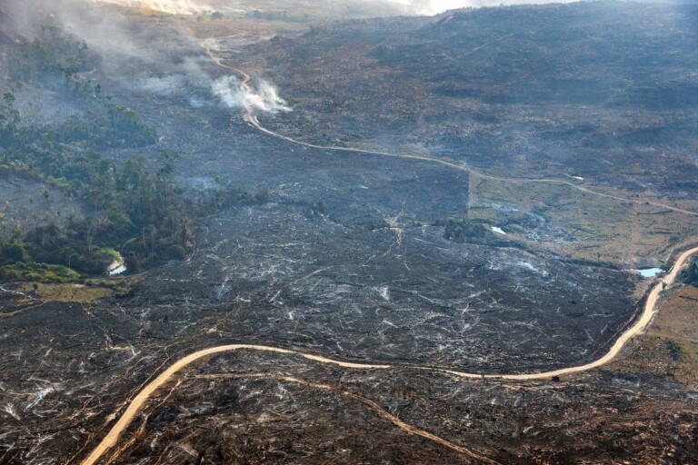 deforestazione amazzonia brasile