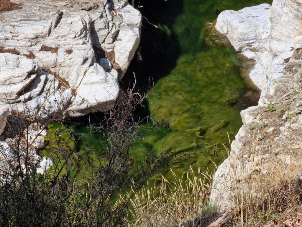 diga del menta