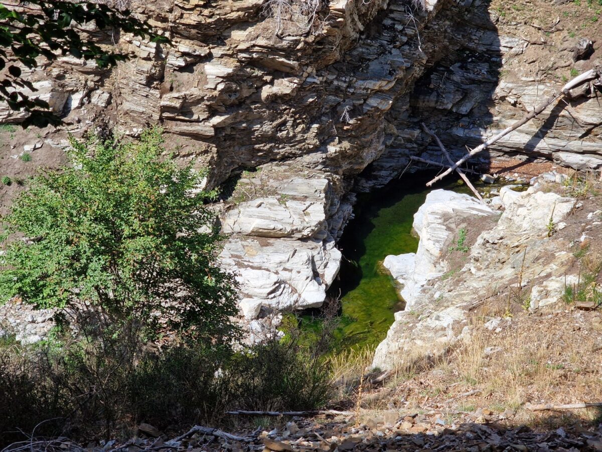 diga del menta