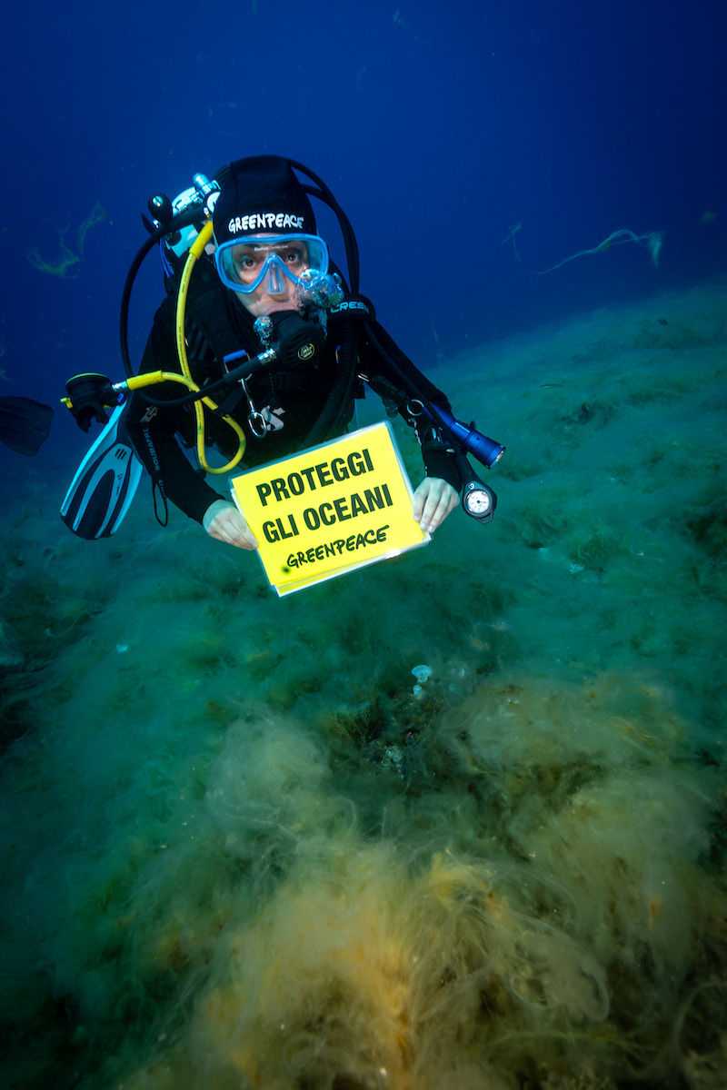 greenpeace Portofino