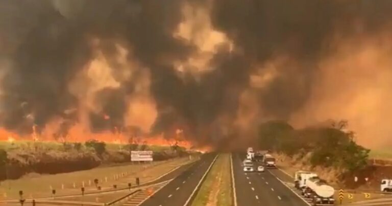 incendi brasile Amazzonia