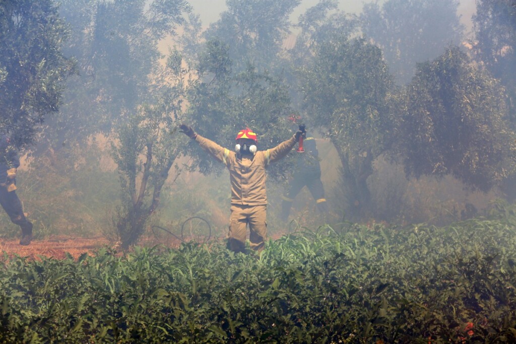 incendi grecia attica atene